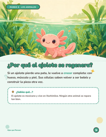 Página del libro